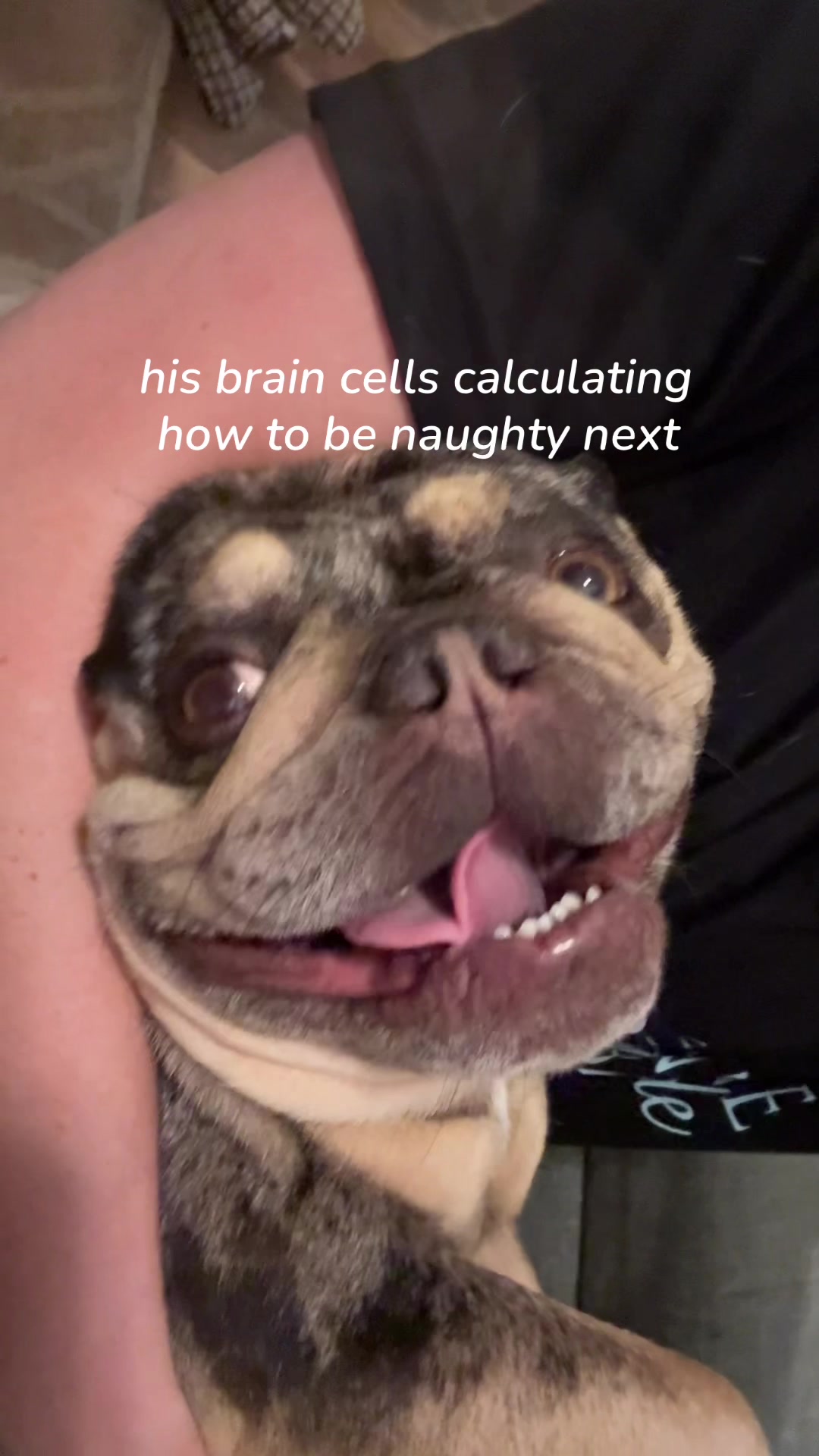 @Jennifer Marie