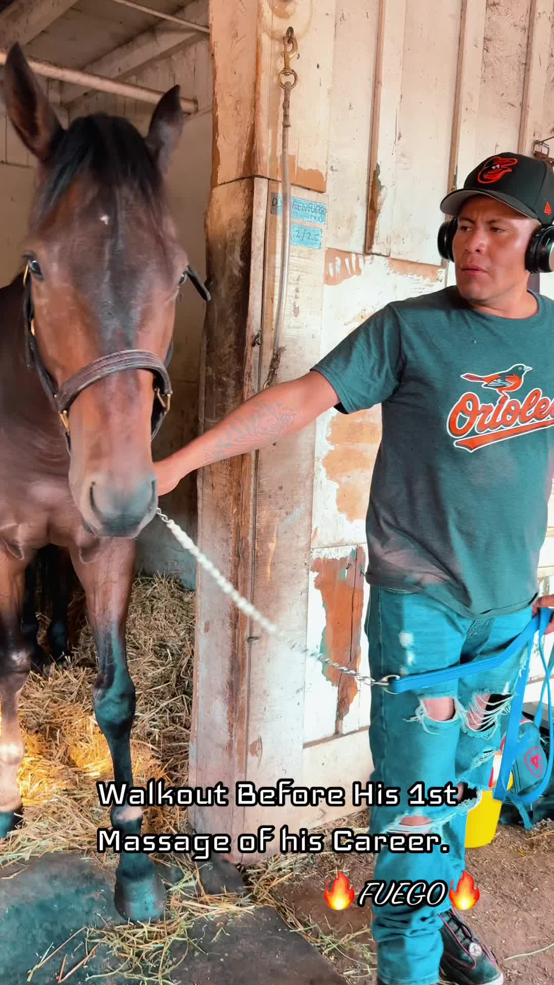@Danigurl🦮🏇🌅