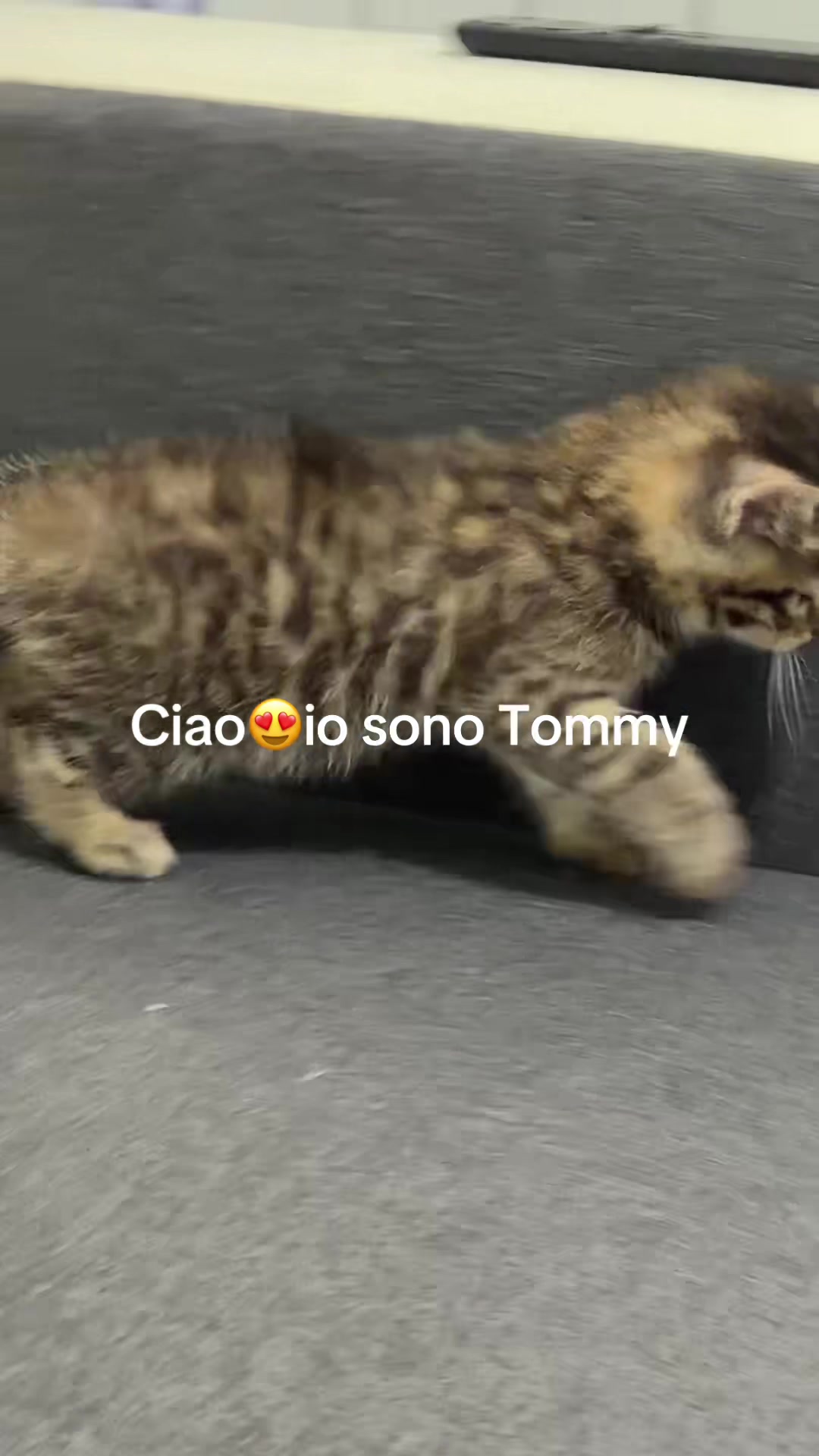 @il_cavaliere_oscuro3
