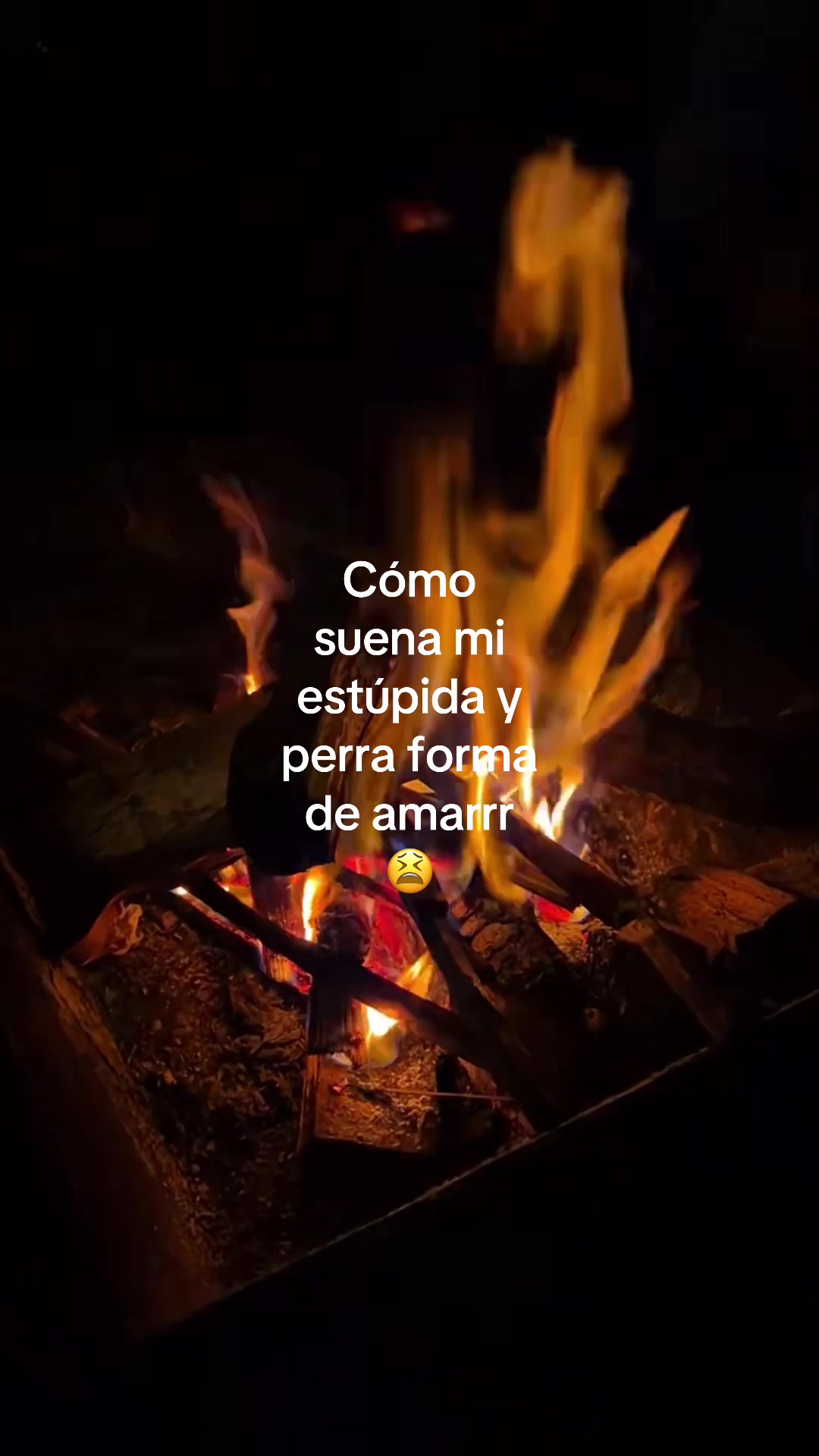 @rolitas_chidas