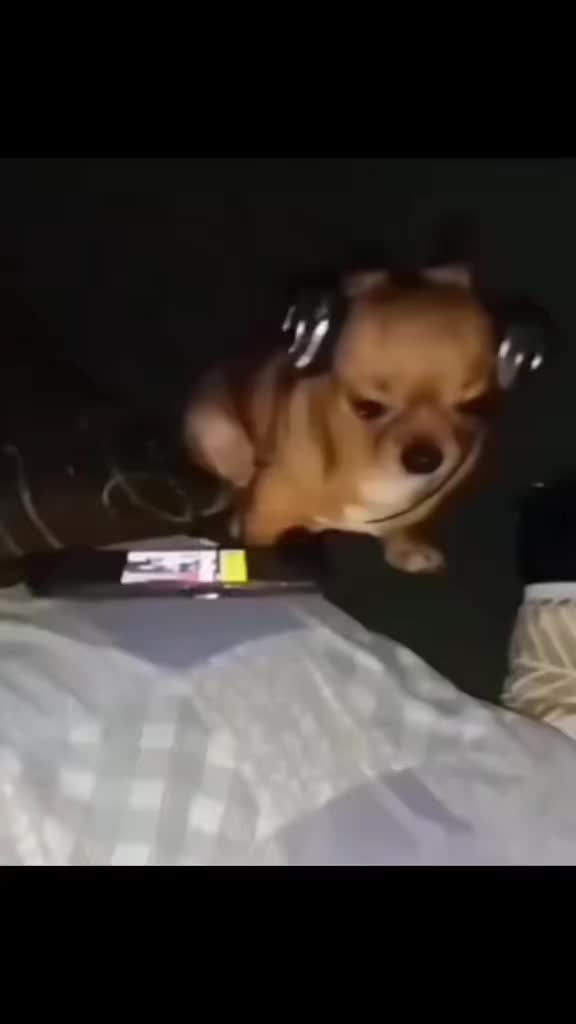 @່່