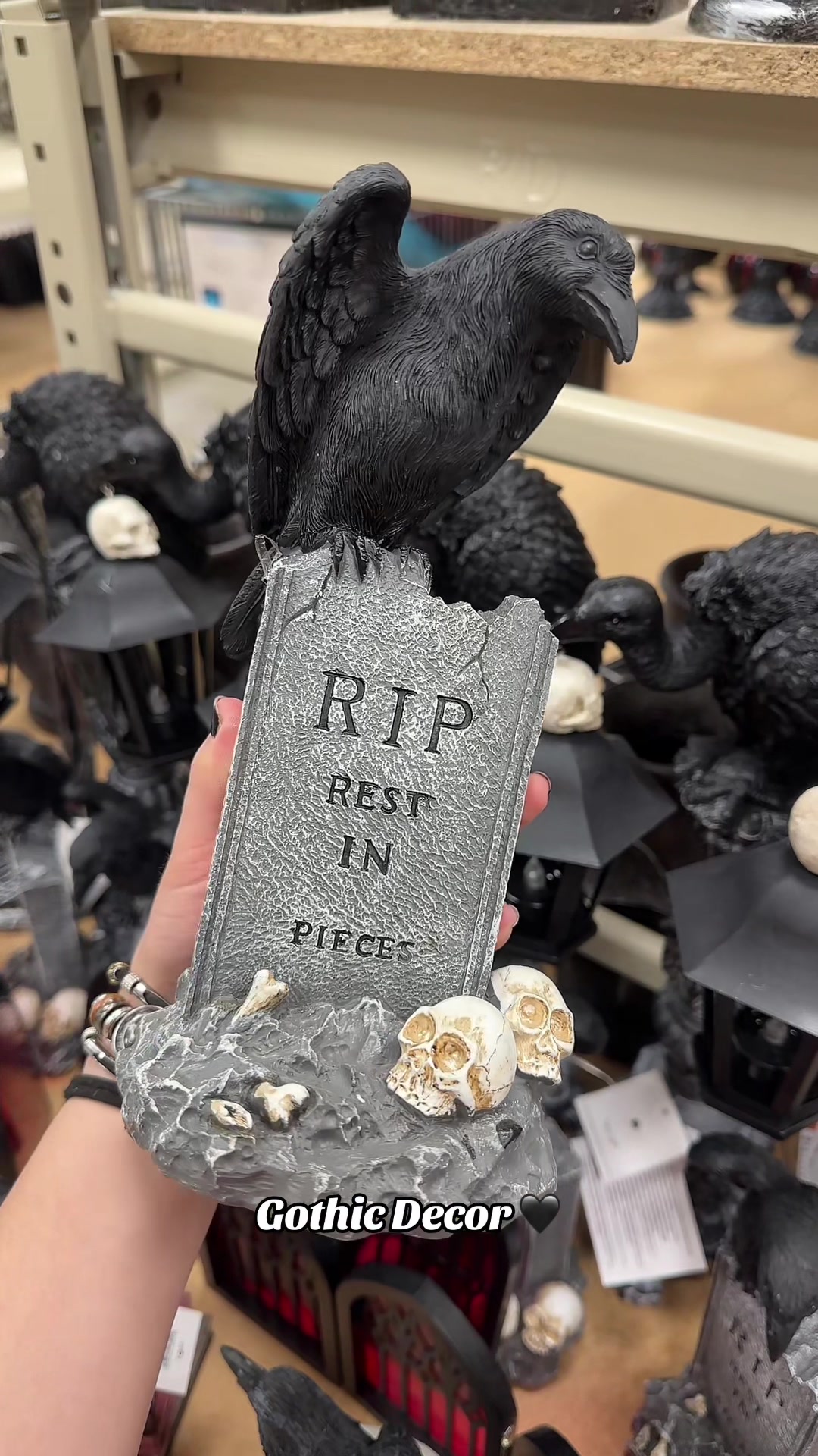 @haven 🦇