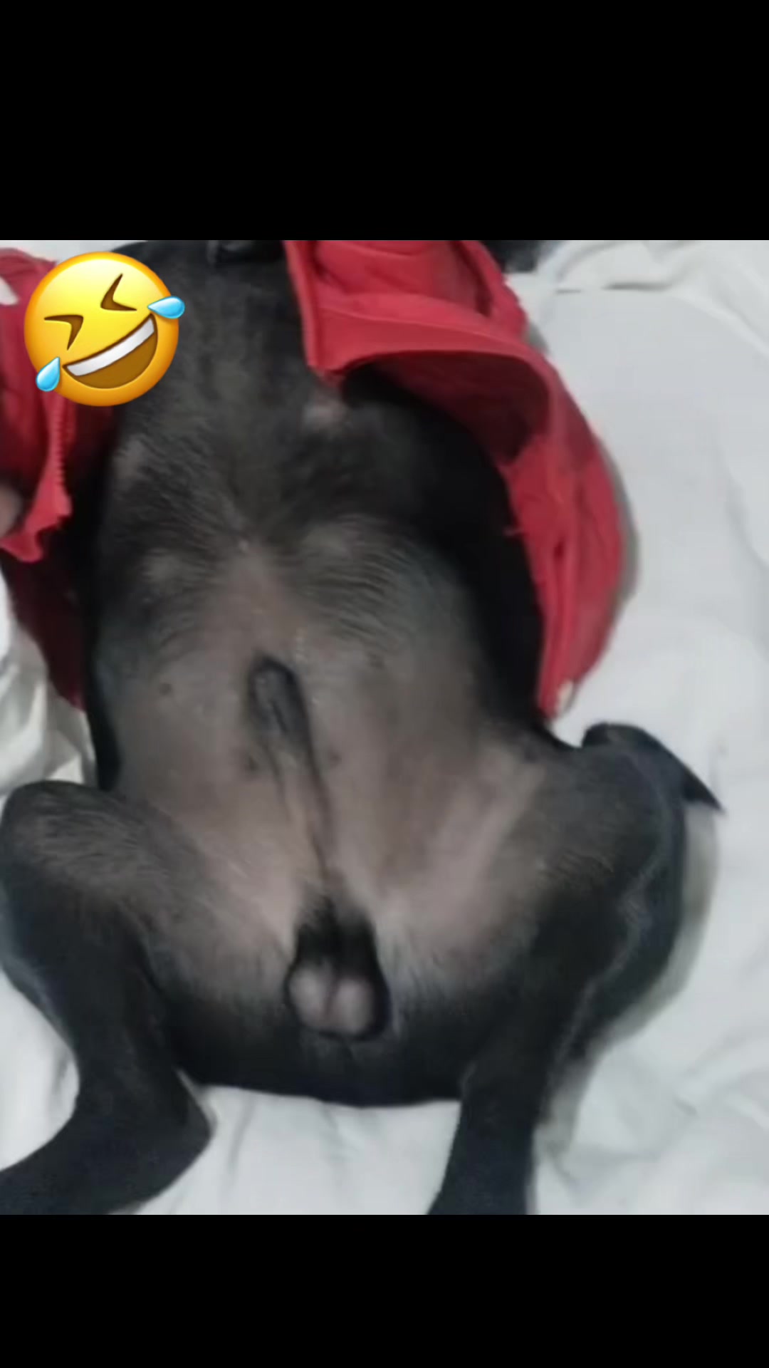 @zeri_065