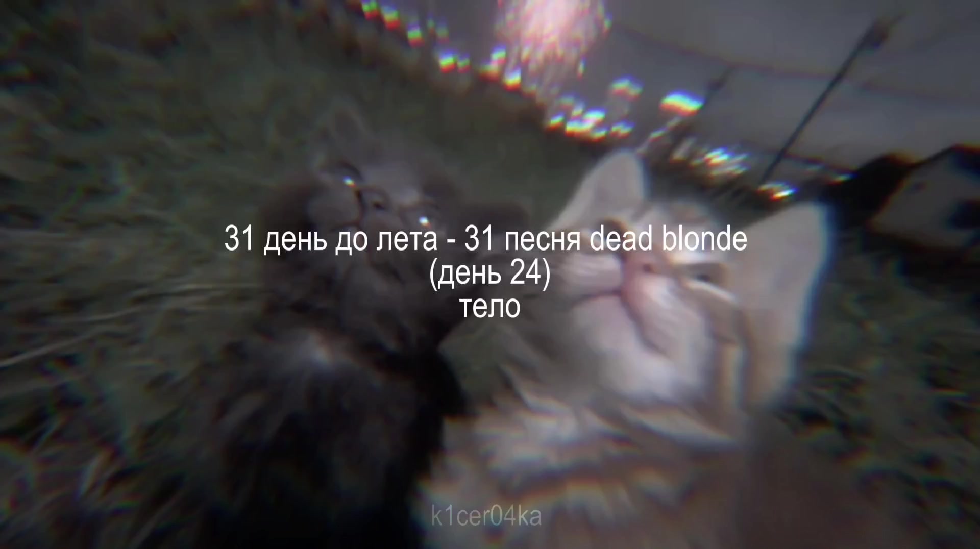 @𝑲𝑰𝑪𝑬𝑹𝑨