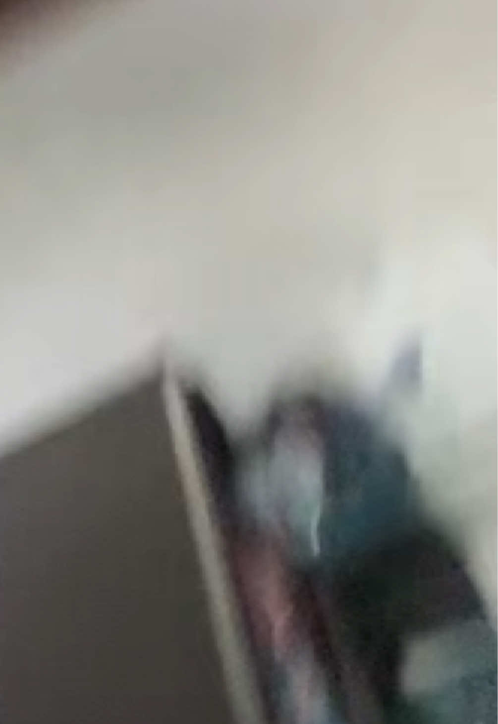 @︎ ︎ ︎ ꨄ