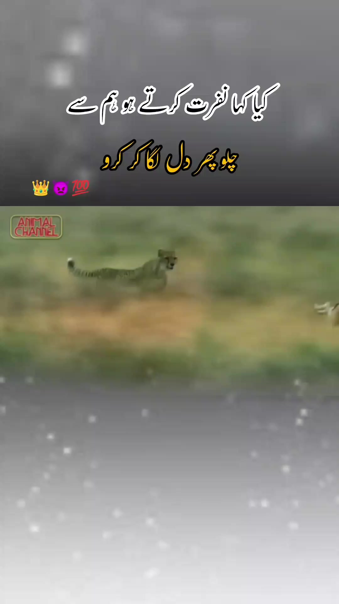 @𝙂𝙝𝙖𝙢 𝙀 𝘼𝙨𝙝𝙞𝙦