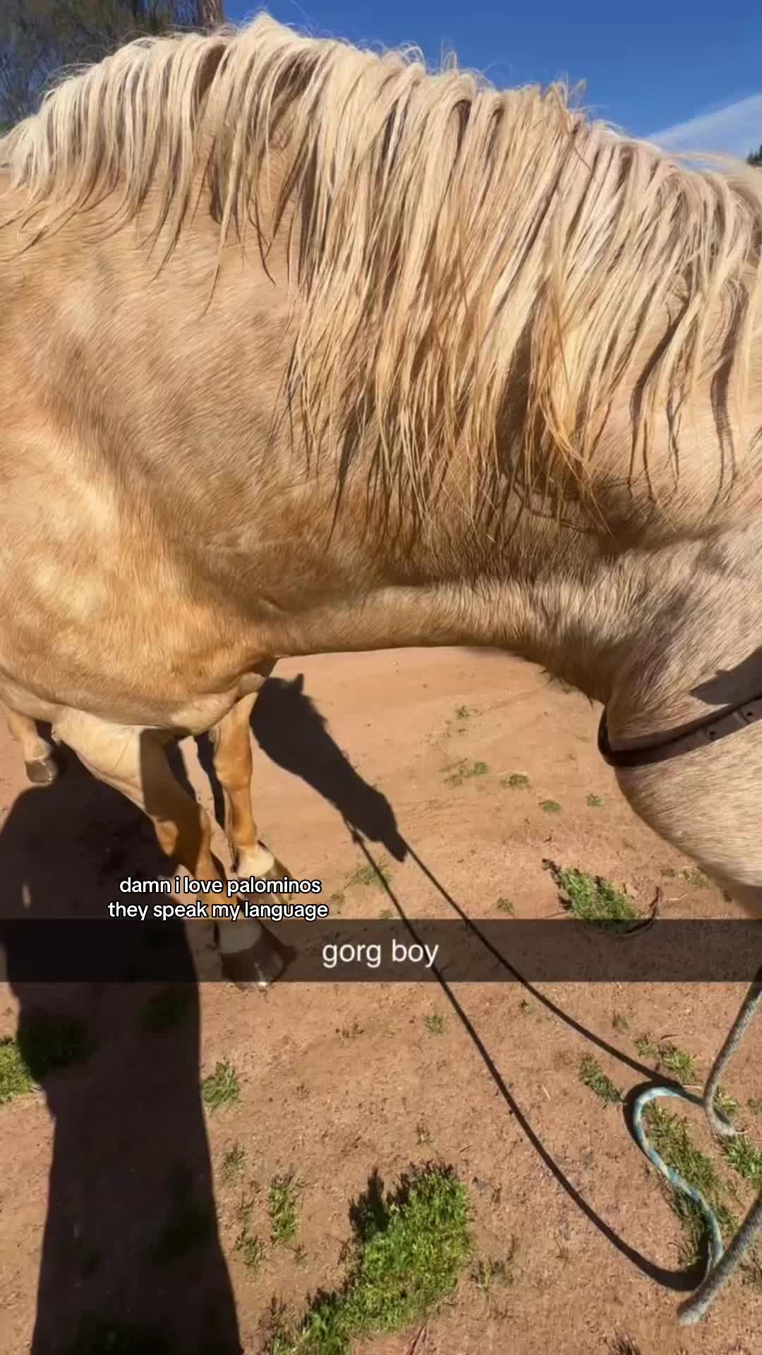 @💞
