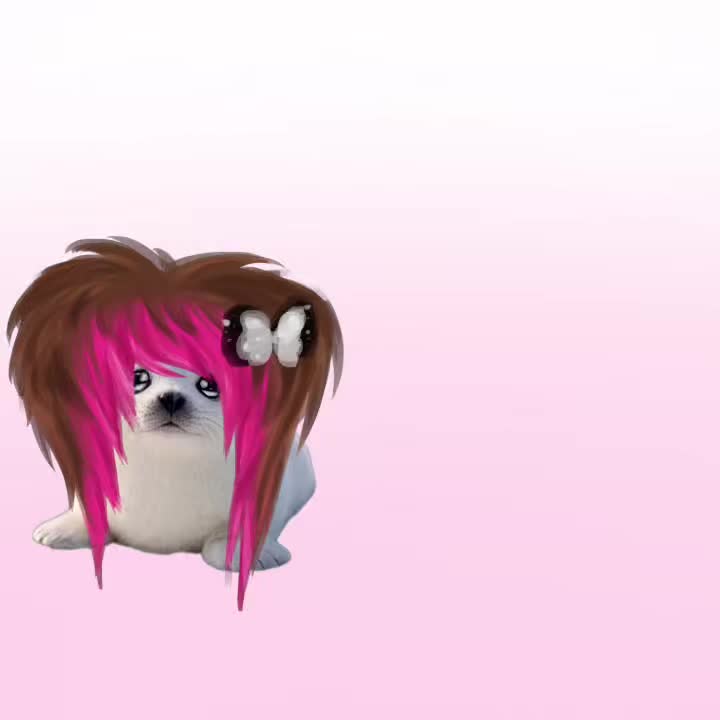 @isetclaraonfire