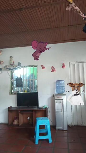 @alisss