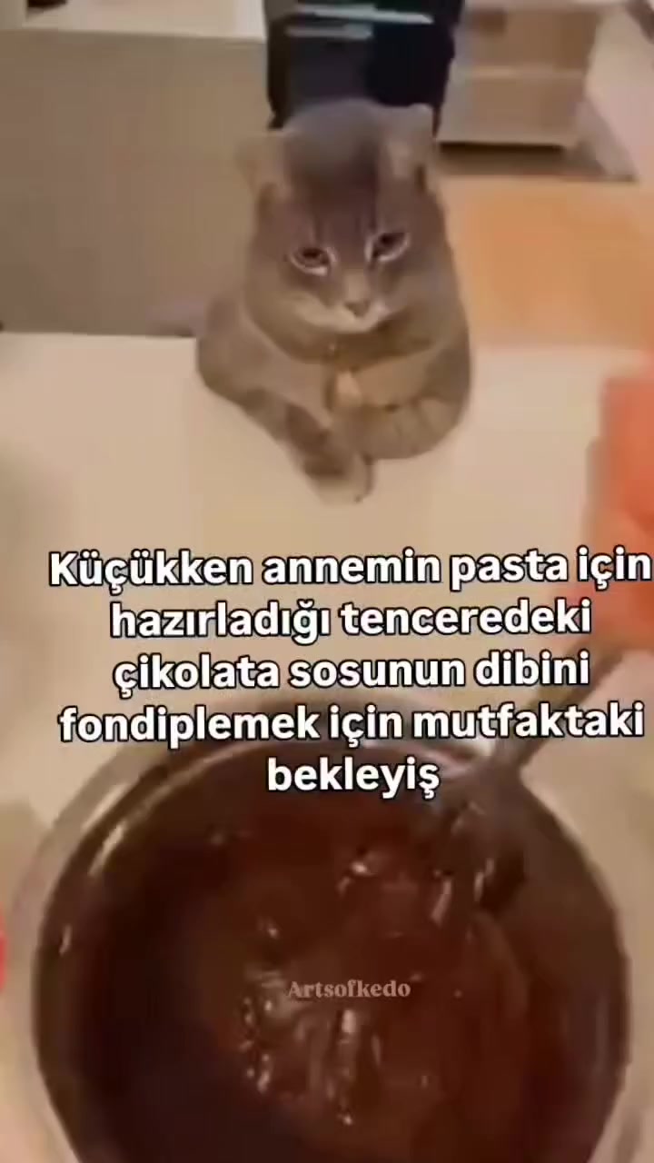 @KedisEvenDetanİrlar🙀