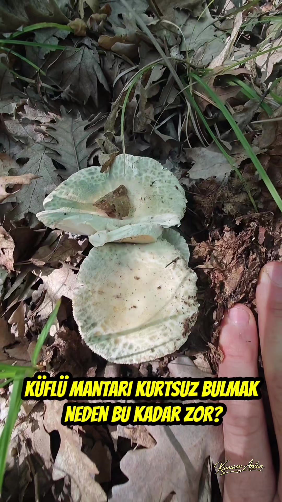 @Kamuran Arslan