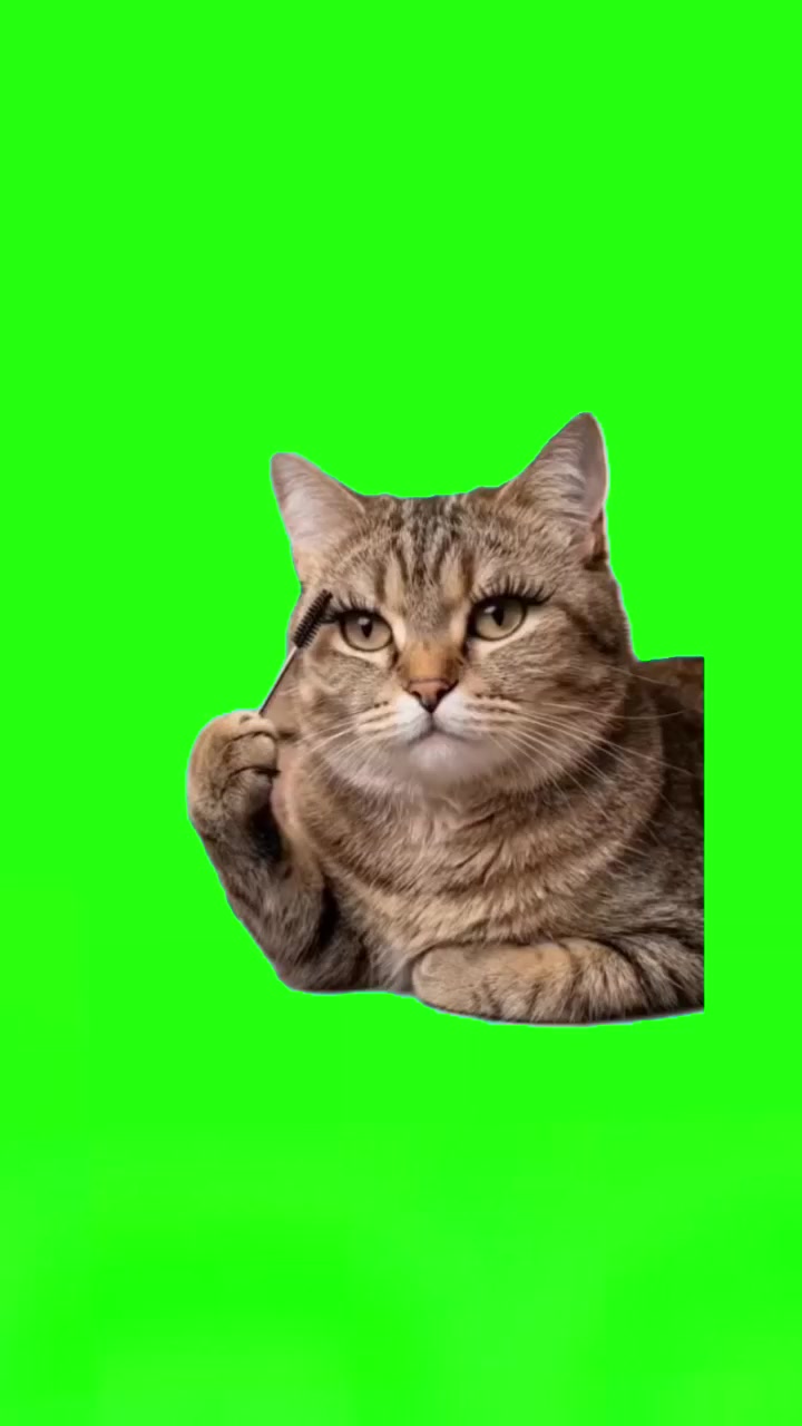 @Plantilla verde (memes)