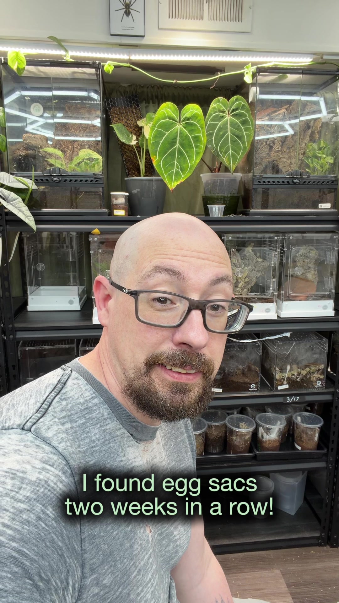 @Spider Conservatory