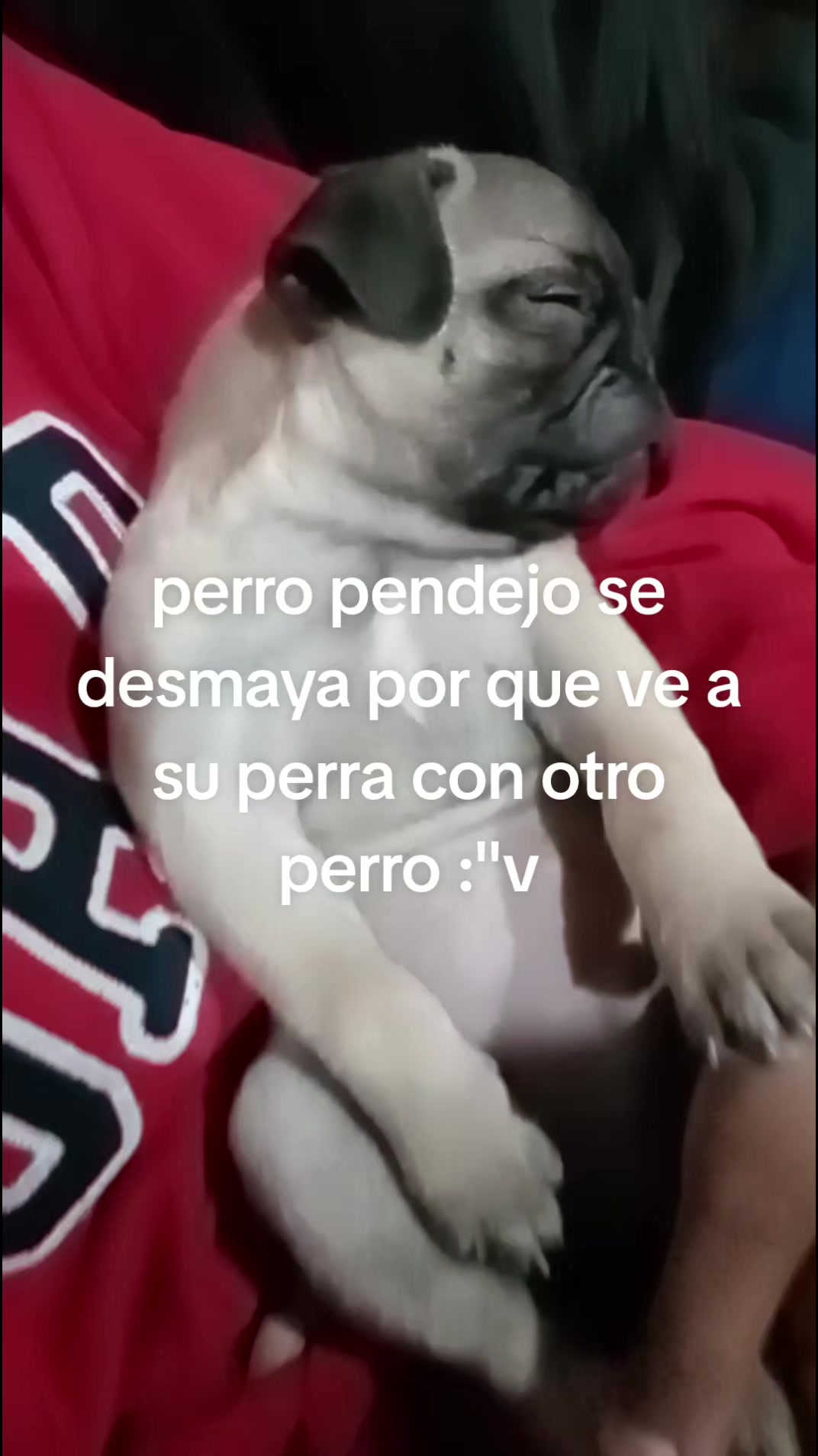 @ken_JG