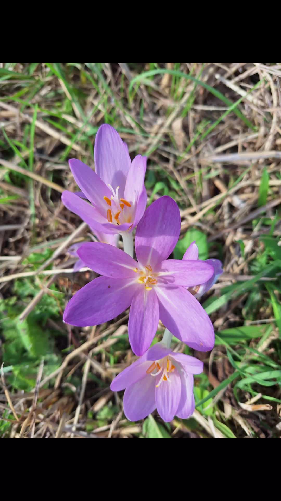 @Natur und Garten
