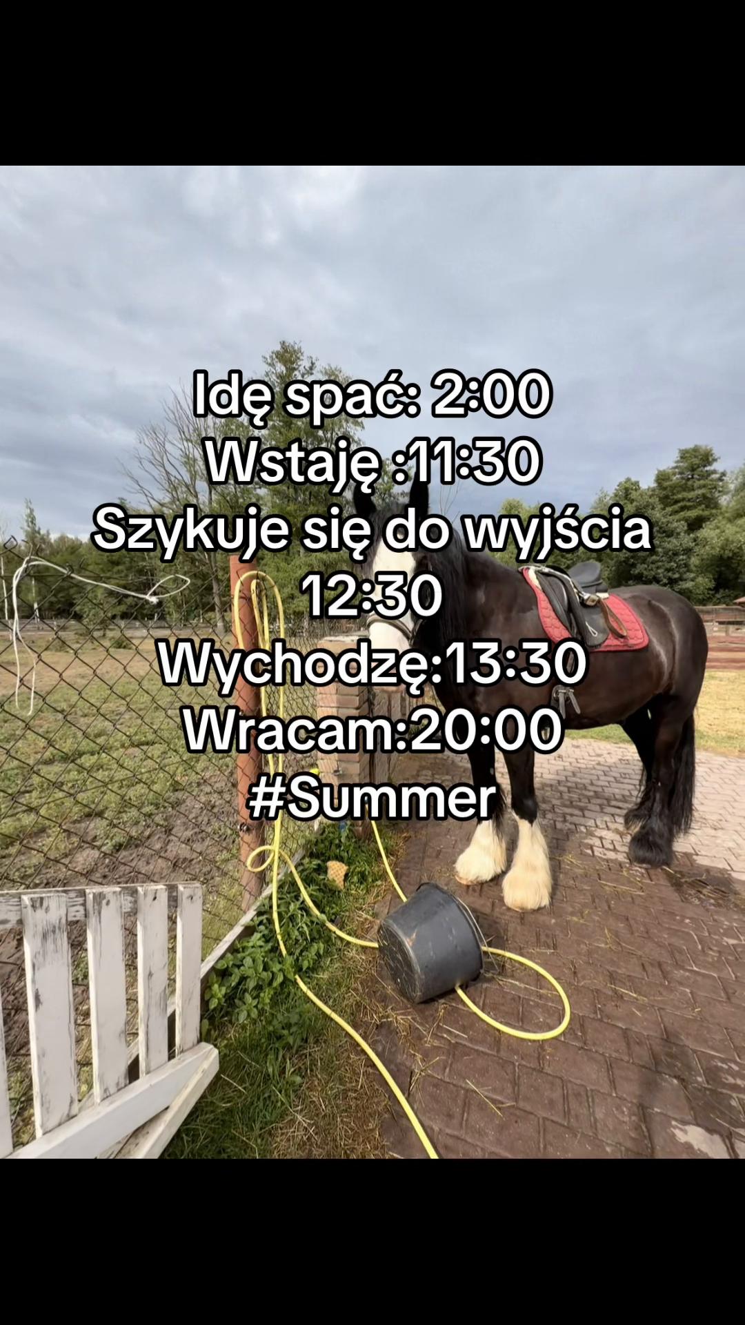 @ta.od.konsti.67