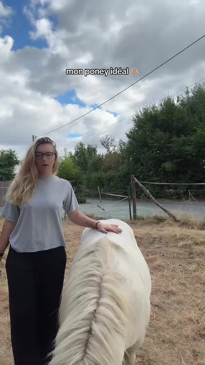 @benjyylepetitponey