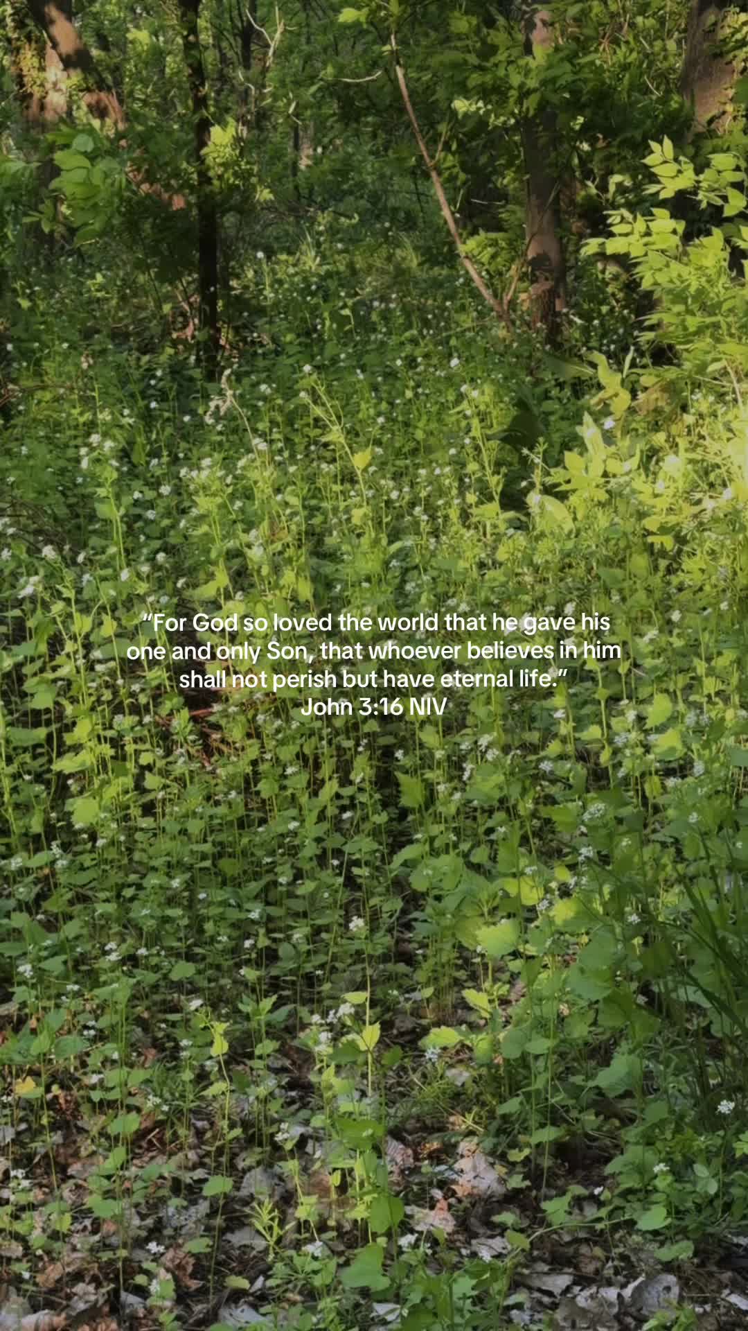 @faith2feed
