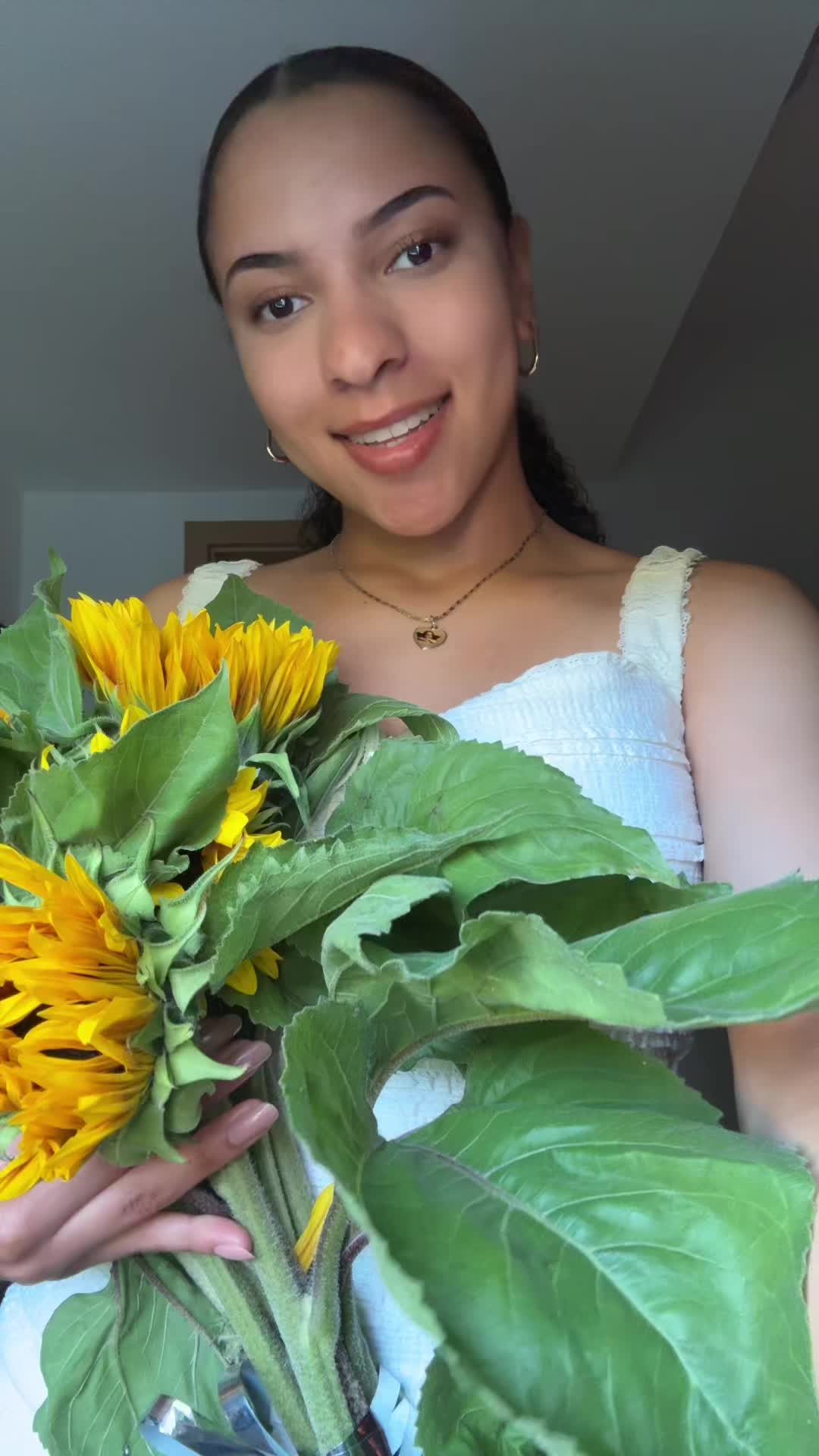 @MIRA
