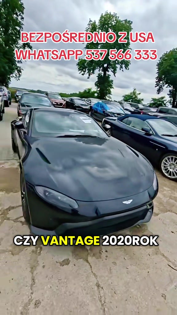 @Marcinzmotoleader