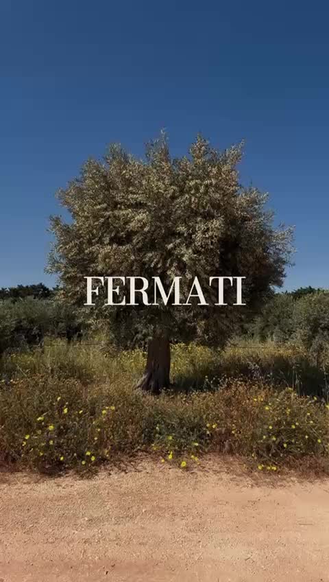 @Giulietta