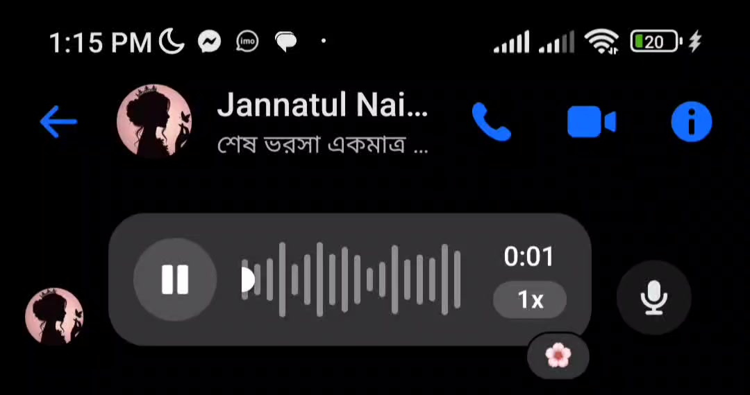 @Voice Of Jannatul