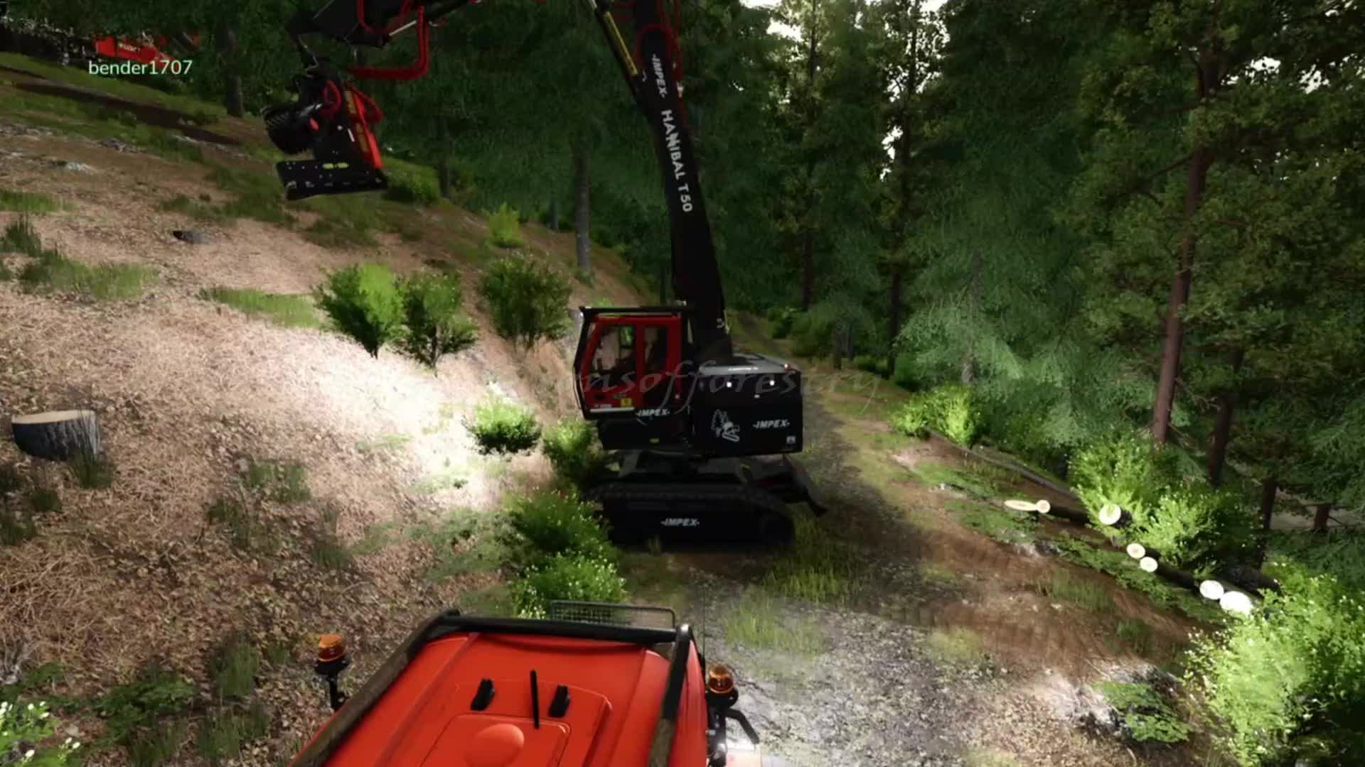 @SONS OF FORESTRY