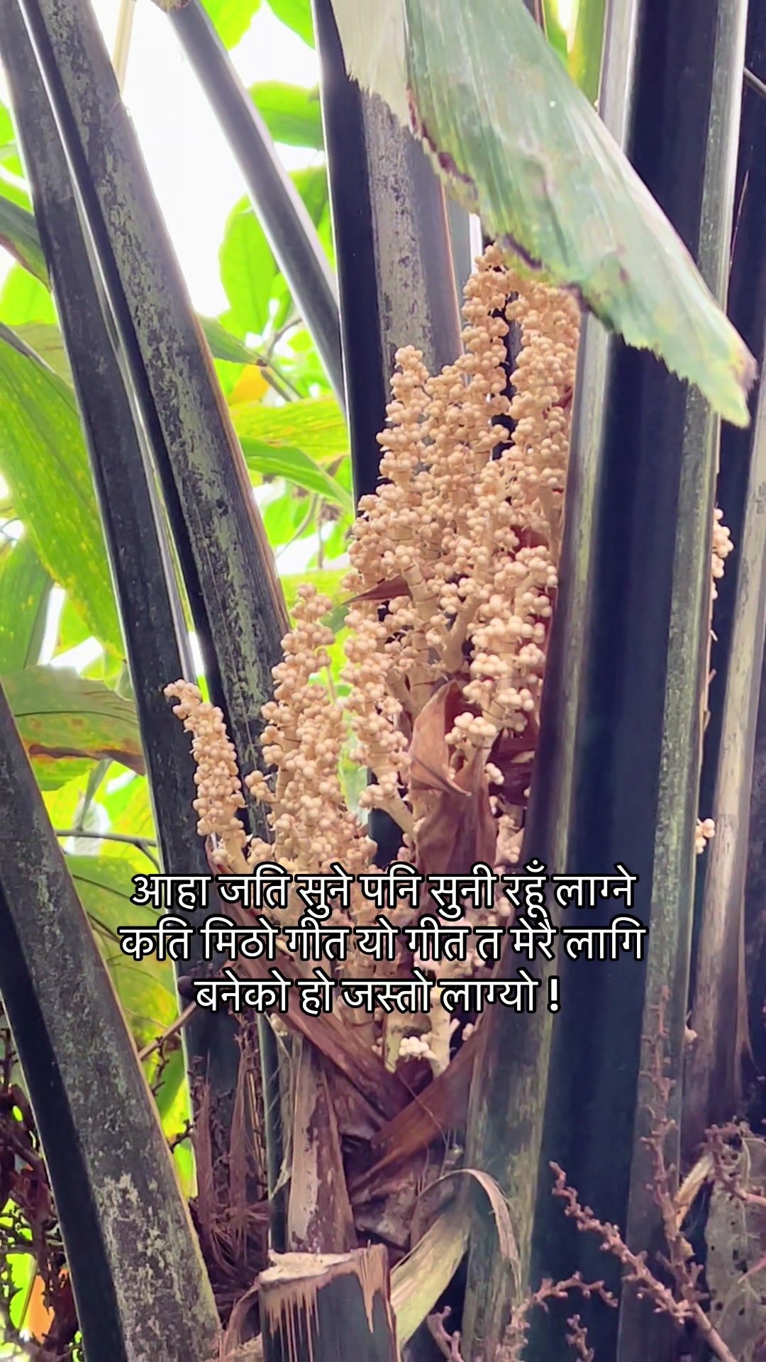 @Karishma Gham