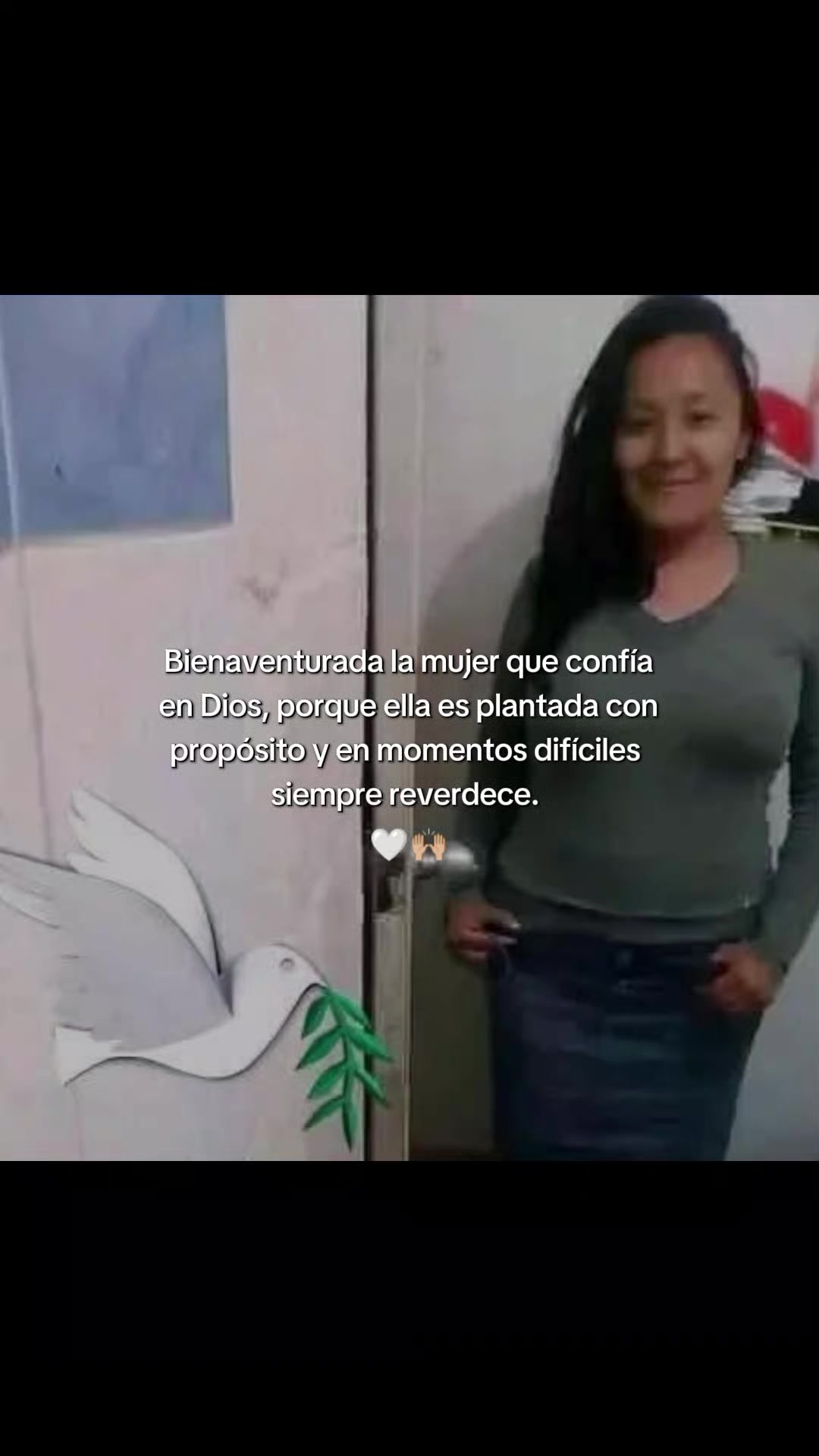 @palomita🕊️