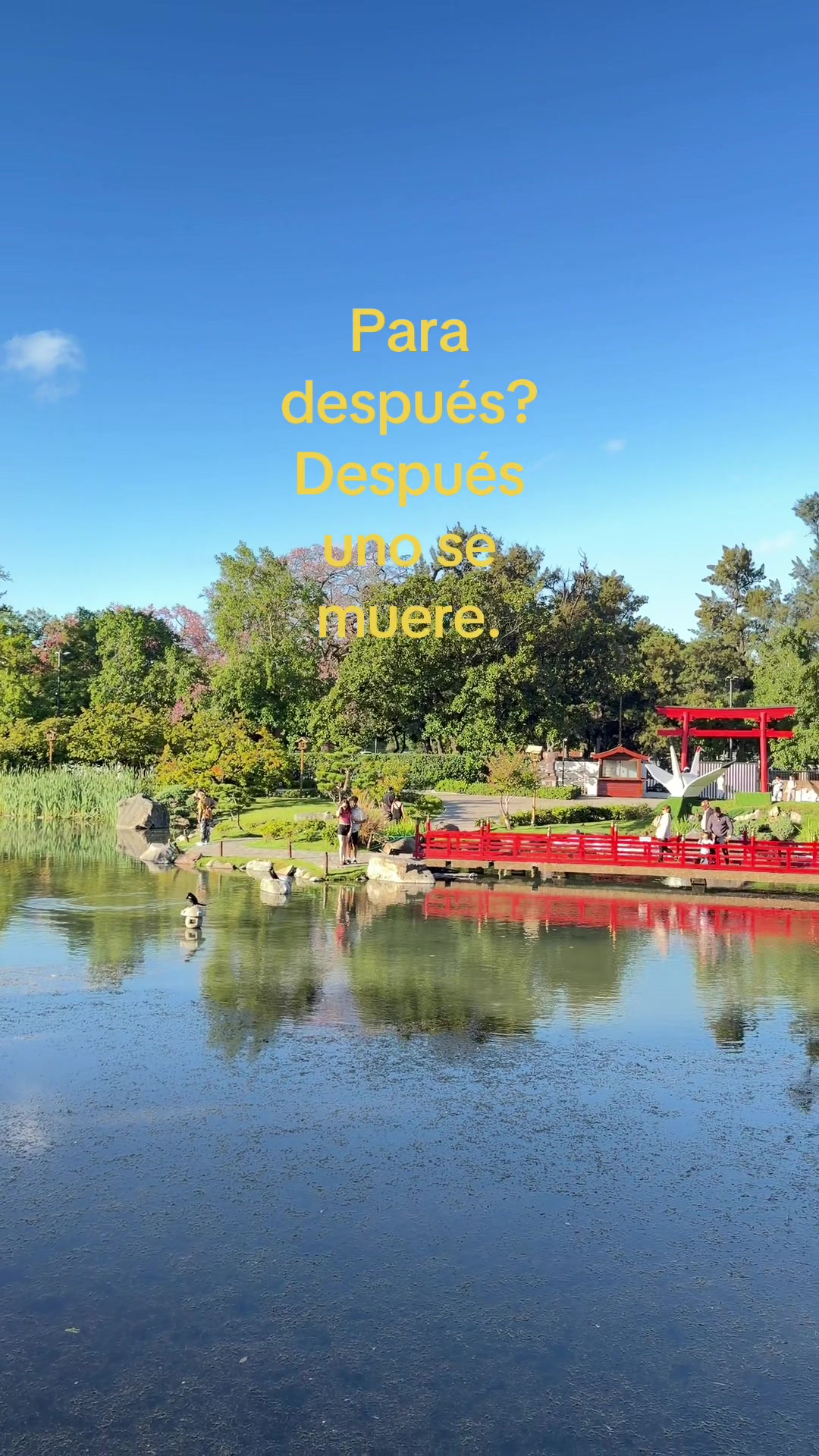 @Alisson Paredes