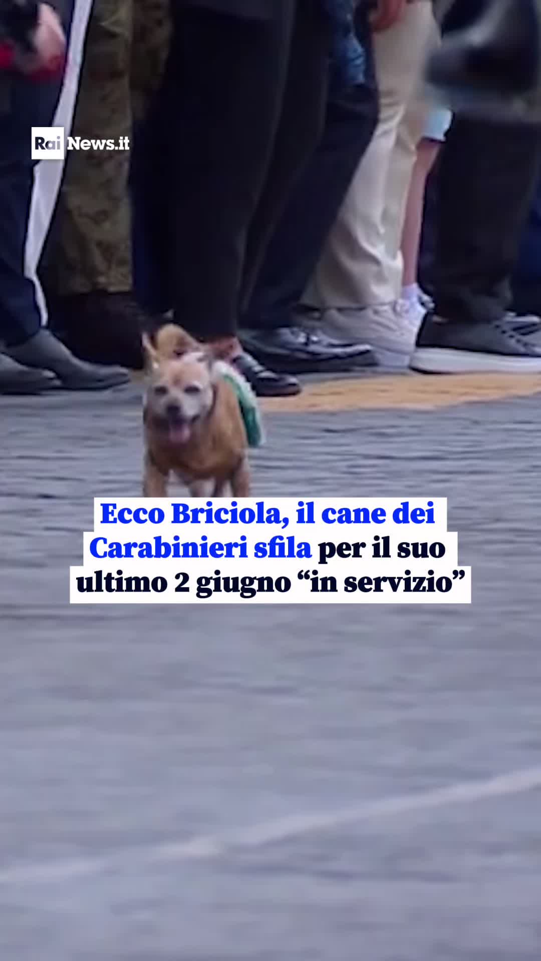 @RaiNews