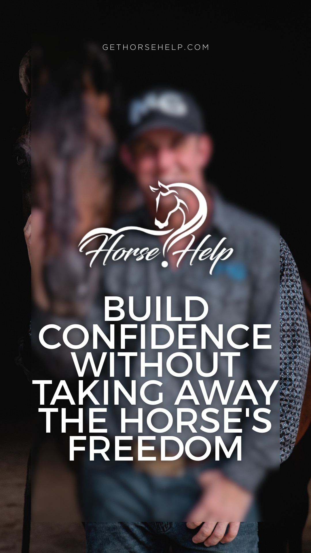 @Horse Help