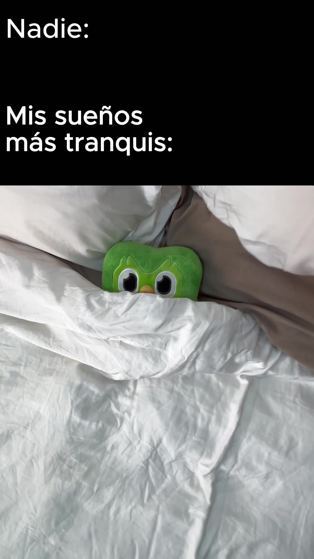 @DuolingoEspanol