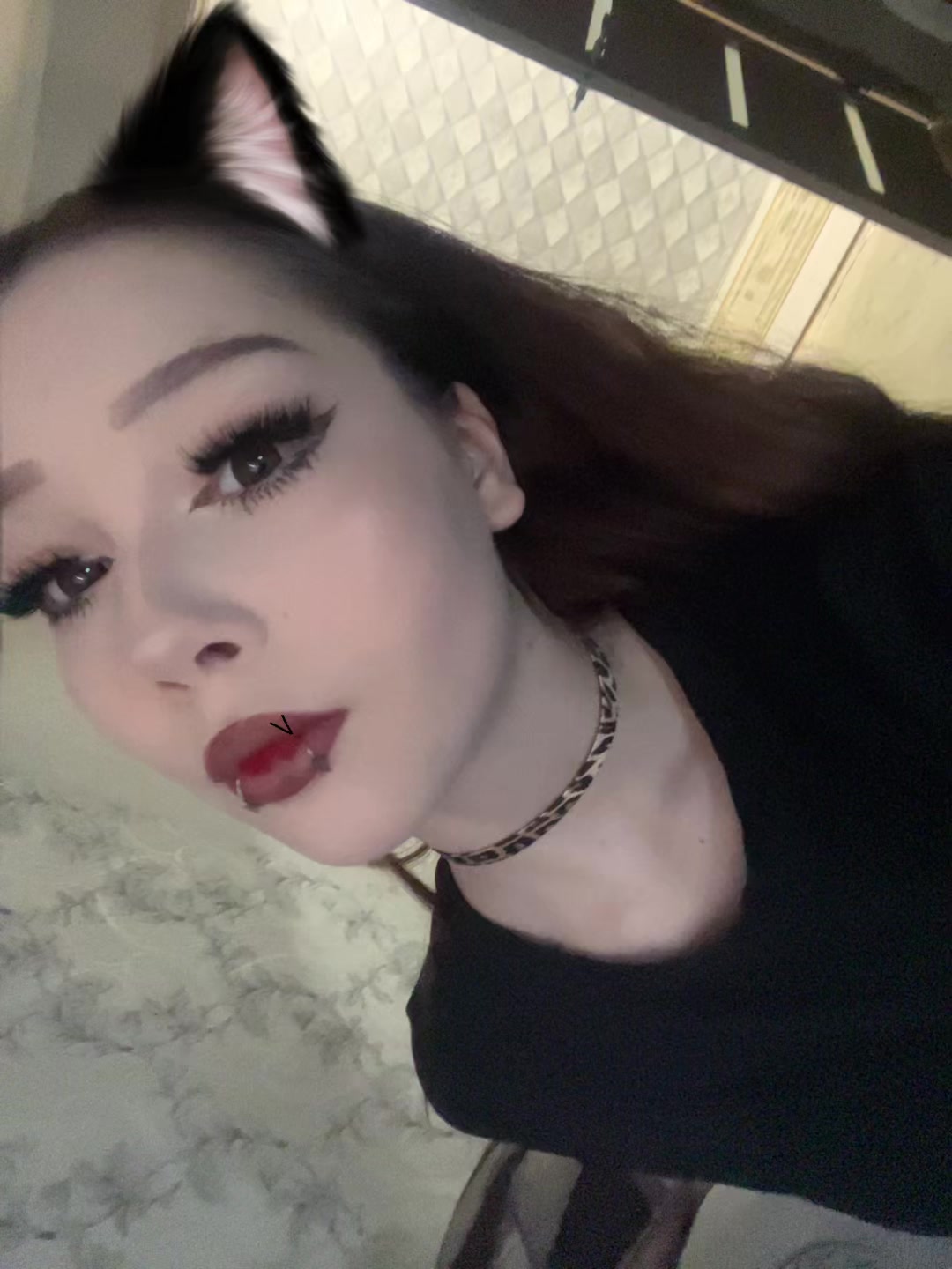 @(=^•^=)