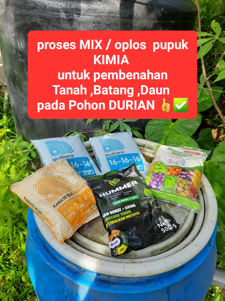 @embunpagi20