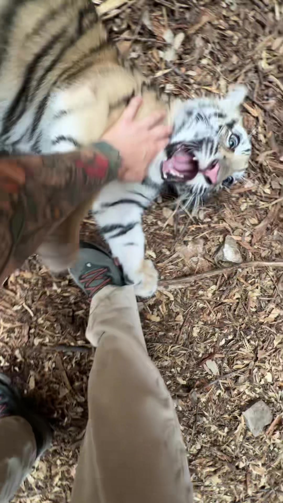 @Texas Wildlife Park