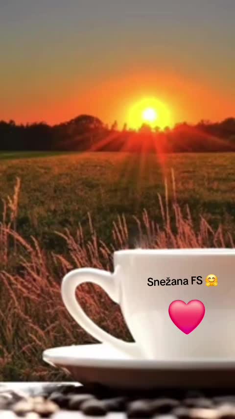 @Snežana