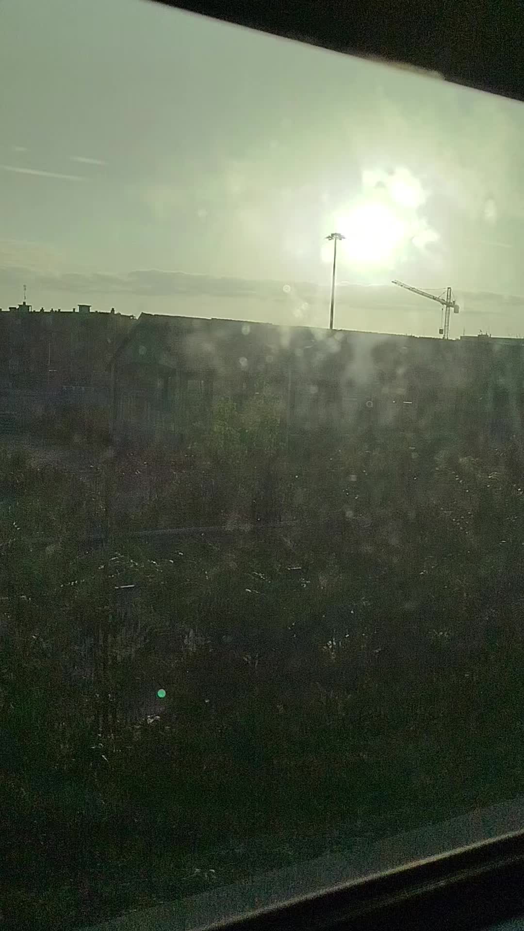 @emrecangultepe863