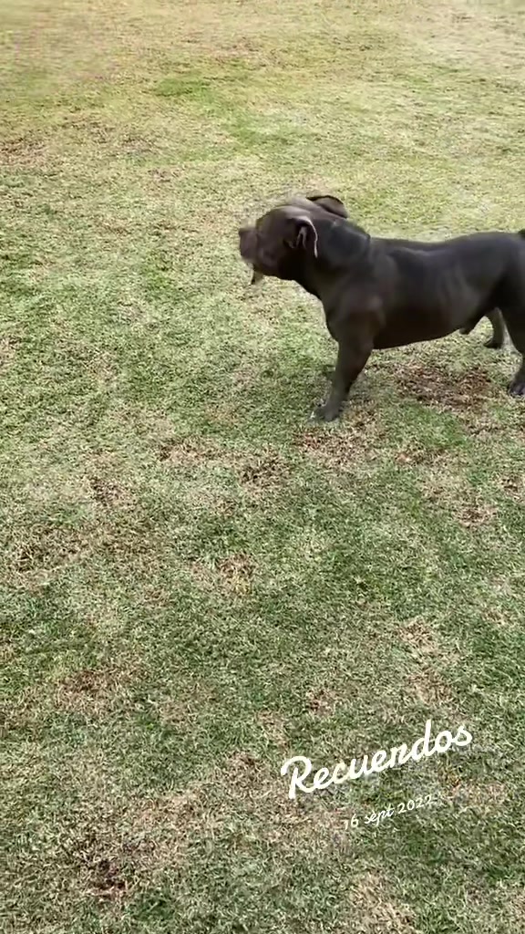 @Moncho_na_na