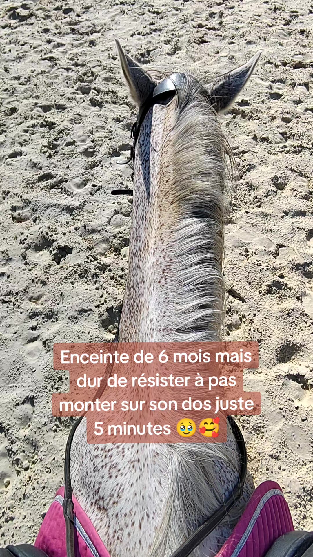 @mathilde🦄