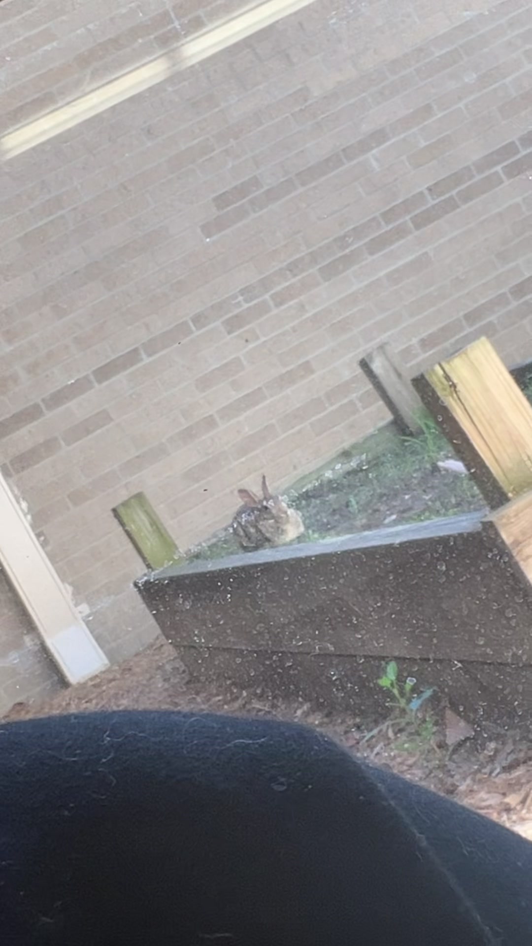 @Fadedbunny69