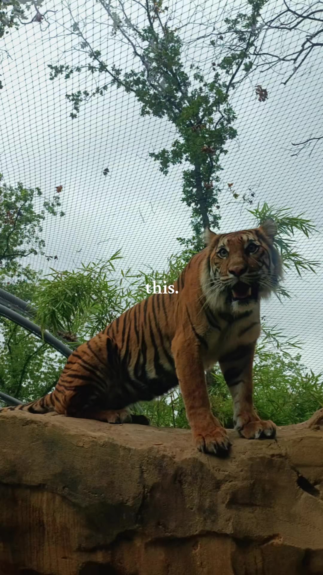@Michael.K