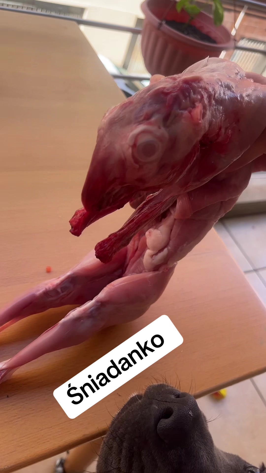 @malutka.beata.13