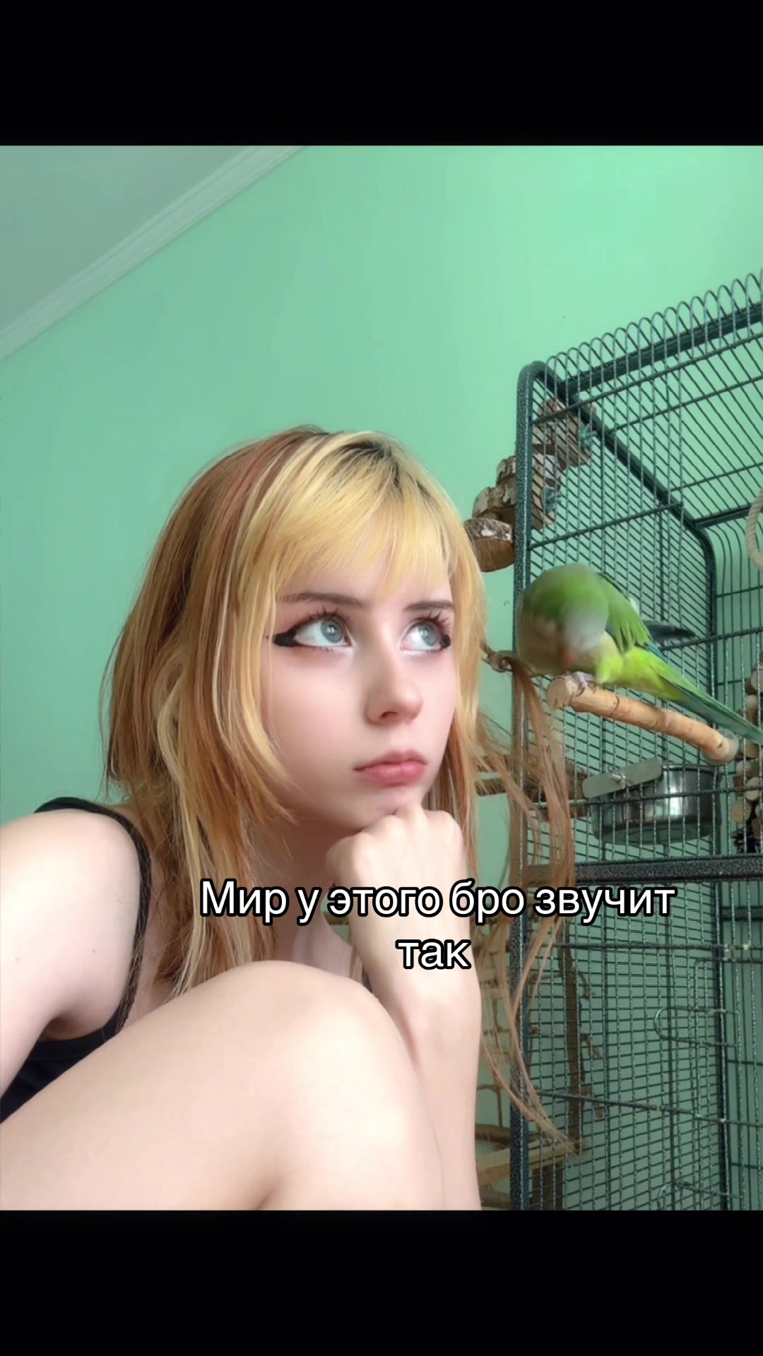 @де білка🇺🇦