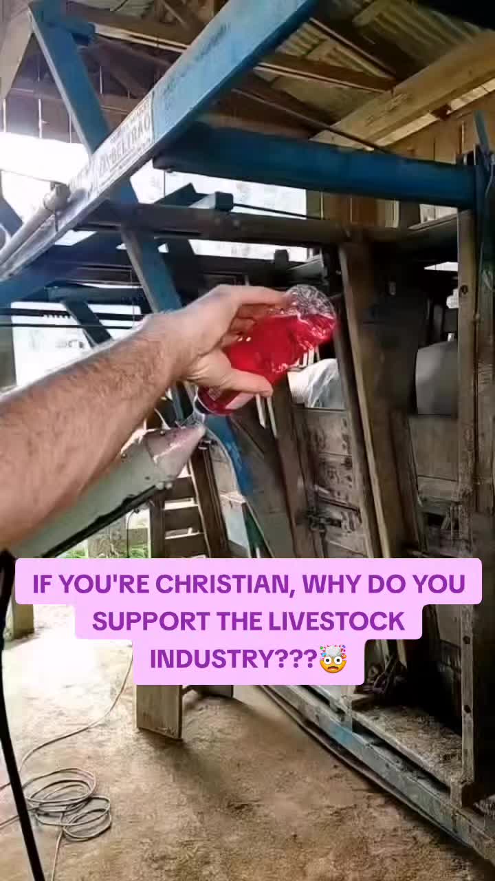 @advocate4animals
