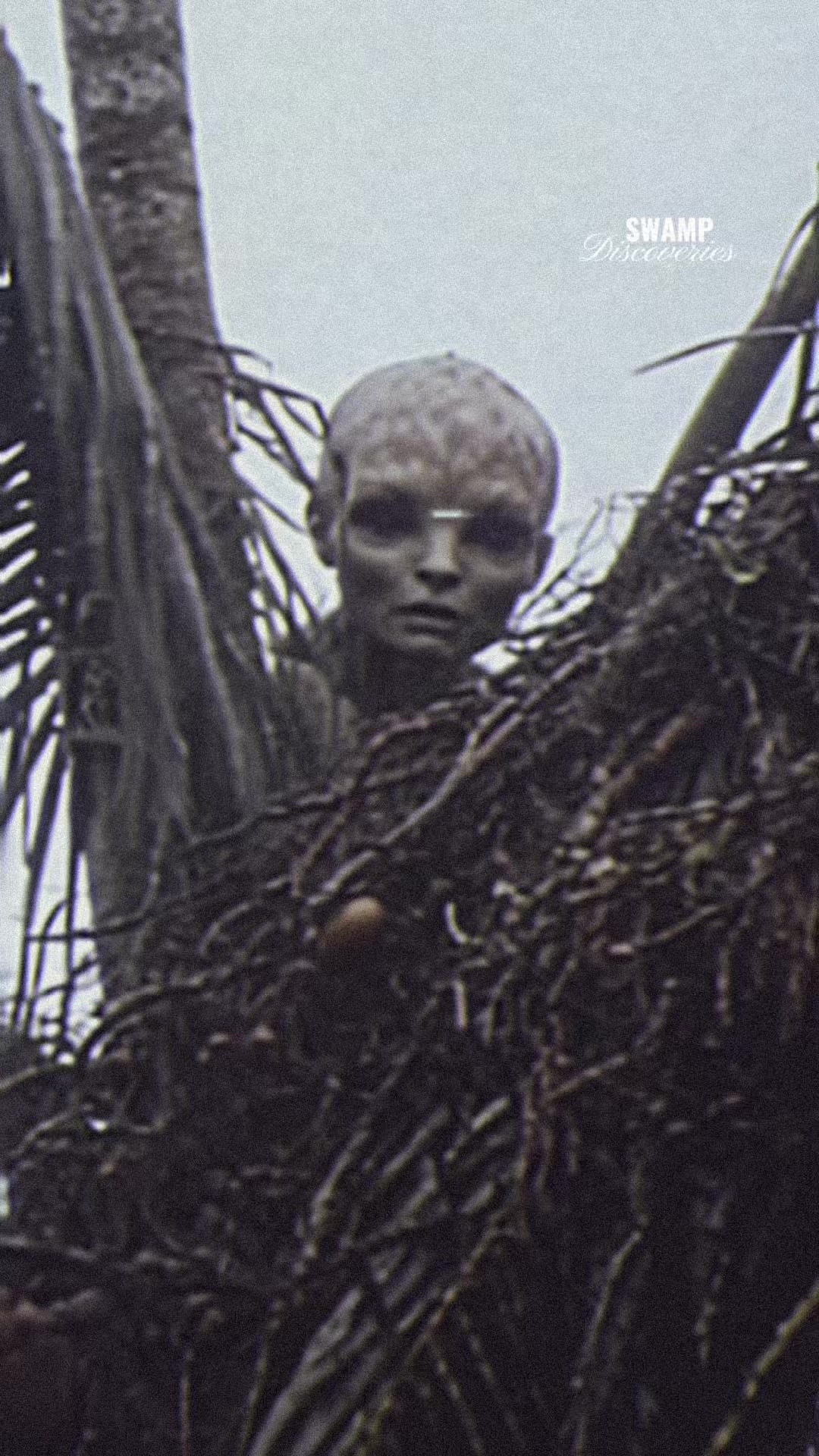 @SwampDiscoveries