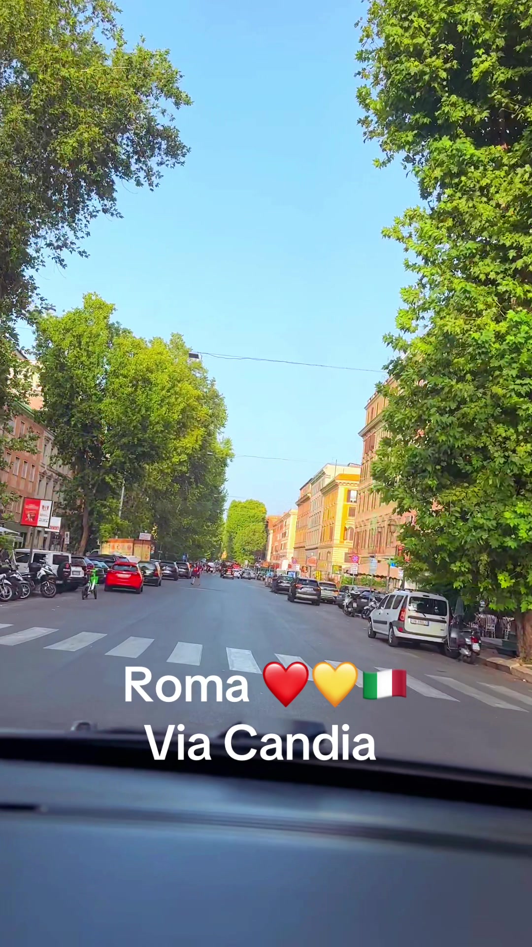 @♥️🐾💛Nina Barboncino ♥️🐾💛