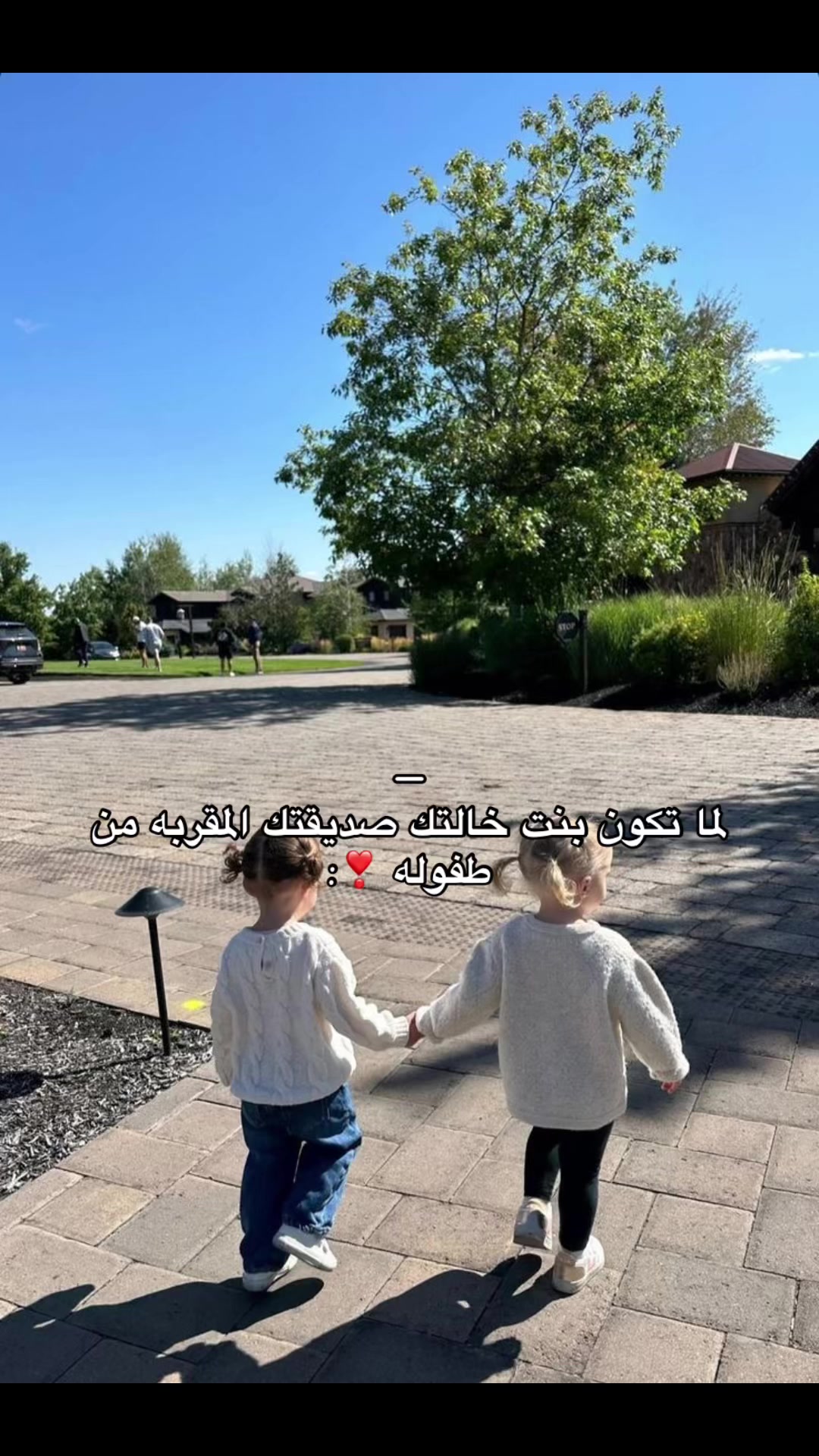 @﮼ويدا،الشݪويٰ؟ 🪢 .