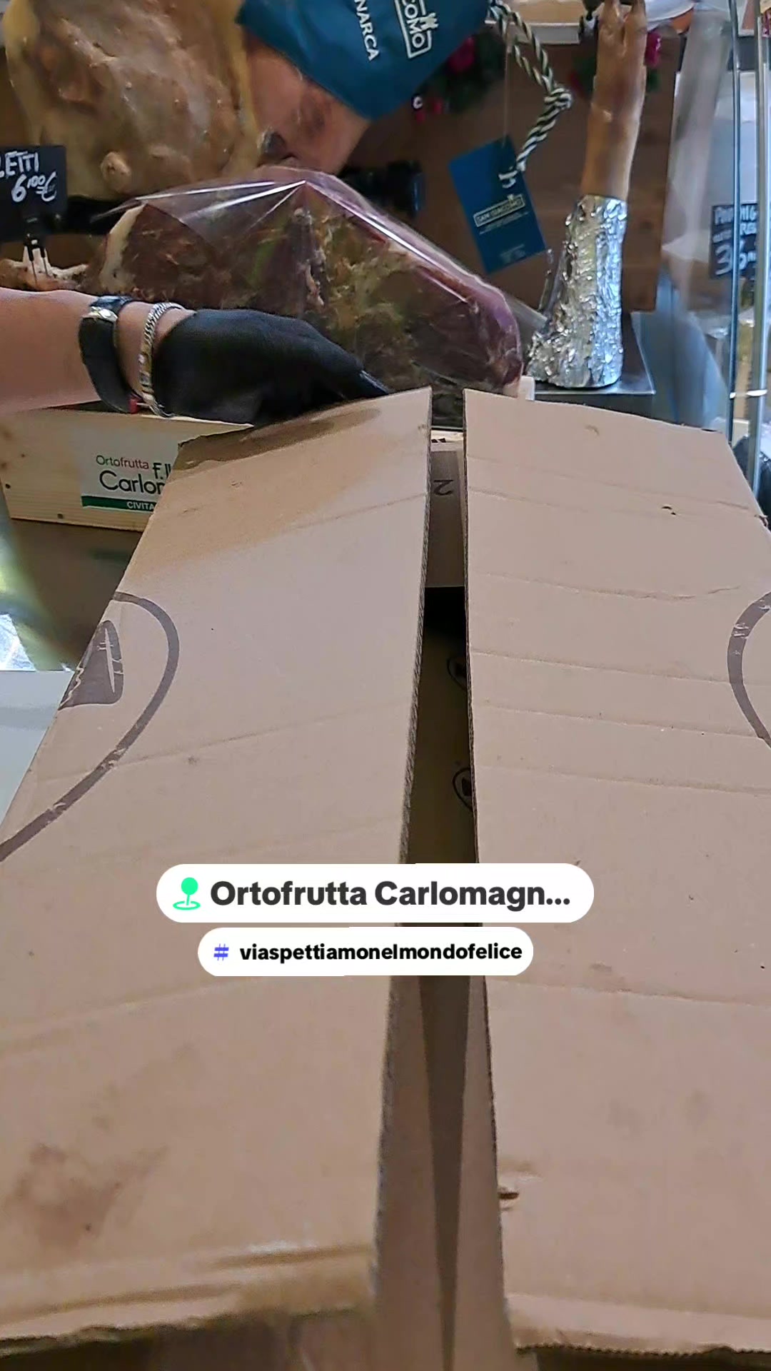 @carlomagnosalvato1