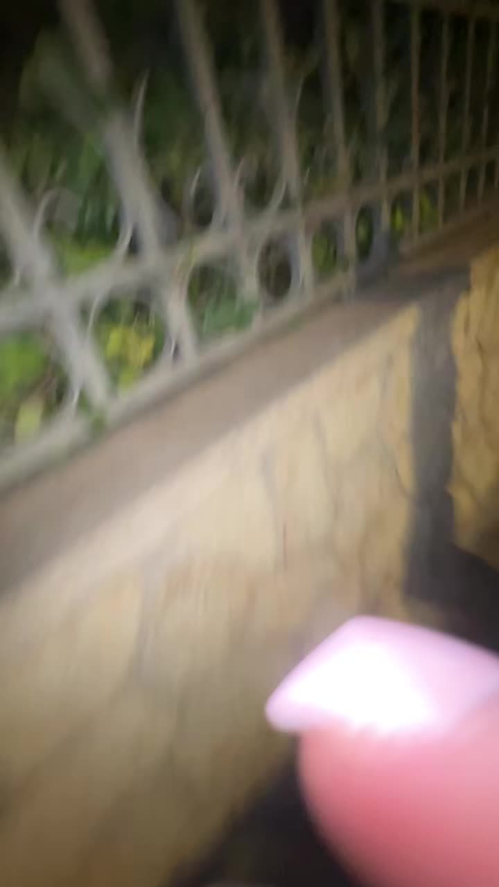 @Alisaxmri